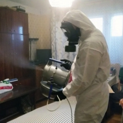 Дезинфекция от клопов в Микуне